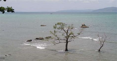 Things To Do In Chidiya Tapu Guide To Find Top Activities In 2026