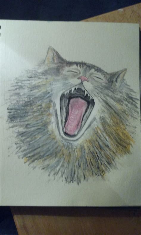 What are you passionate about?