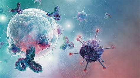 Immune System Function 的图像结果