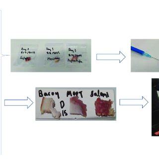 Sample Process 的图像结果