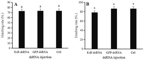 Effects of the Ecdysone Receptor on the Regulation of Reproduction in ...