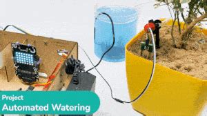 Image result for Plant Watering Python Project
