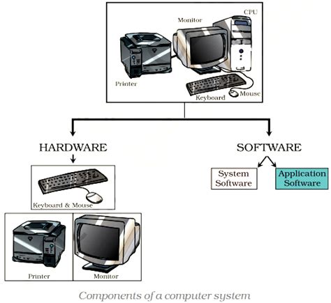 Image result for Organization of Computer System Pic