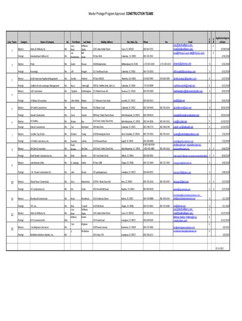 Fillable Online Mentor Protege Program Approved CONSTRUCTION TEAMS 13 ...