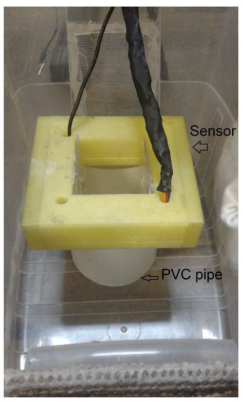 Development of an Optoelectronic Sensor for Detecting and Classifying ...