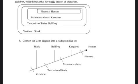 Image result for Cladogram Character Table