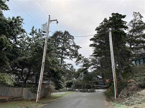 TILLAMOOK PUD: Crews Work Through Night to Restore Power During Ice ...