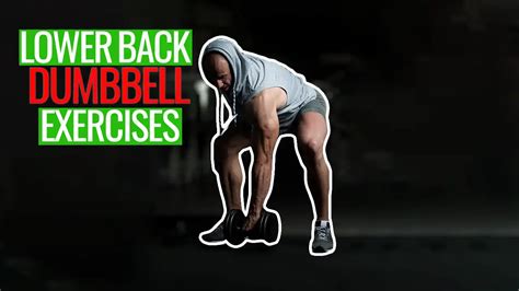 7 Best Lower Trap Exercises For Posture And Improved Body Positioning