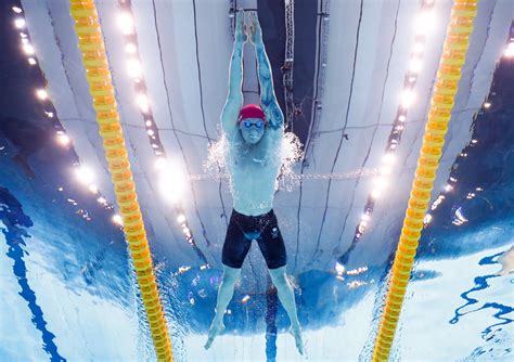 Swimming Olympics 的图像结果