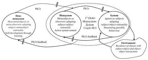 Metacybernetics: Towards a General Theory of Higher Order Cybernetics