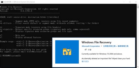 Windows File Restoration 的图像结果