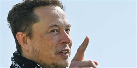 Carl Icahn, David Einhorn, and Dan Loeb bet big on Elon Musk ultimately ...