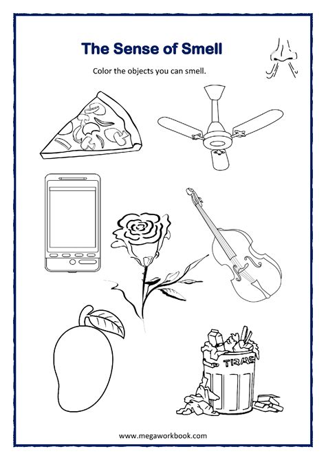 Five Senses Worksheets For Preschool And Kindergarten - MegaWorkbook