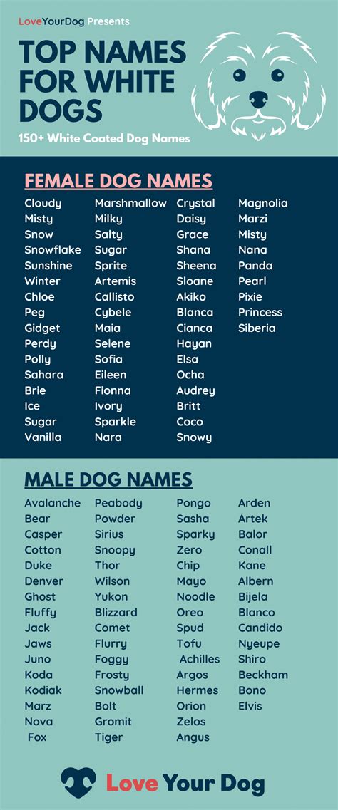 White Dog Names: 150+ Male & Female Names For White Puppies - Canine Journal | Dog names unique ...