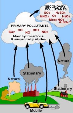 Main Types of Pollution 的图像结果