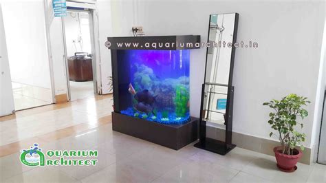 Aquarium Styles | Plasma Aquarium | Customised Aquariums | Acrylic ...