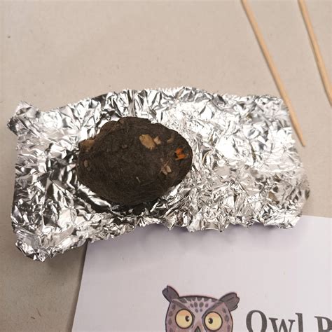 Science Kits | Owl Pellet Dissecting Kit