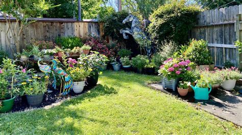 A discarded display horse found a home in a Modesto backyard ...