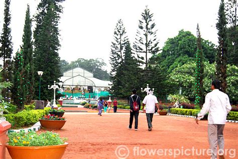 Lalbagh Flower Show August 2014 Photos | Independence Day | Bangalore ...
