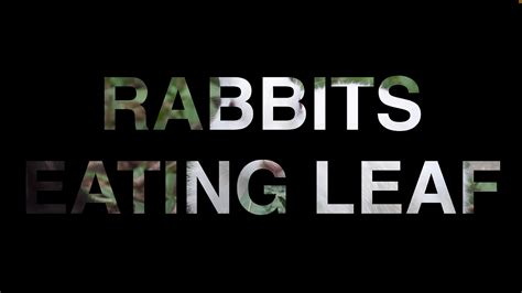 Image result for How to Use a Video as Your Background Using HTML and CSS