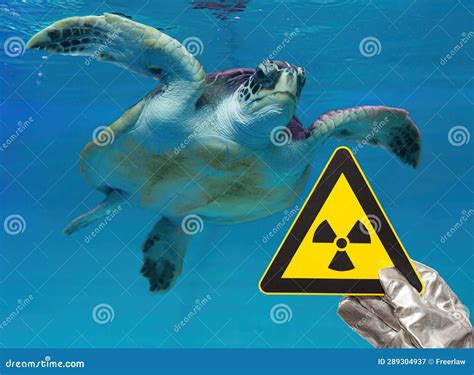 Nuclear Radiation Measurement Radioactivity Measuring Radioactive Household Item Test Counting ...