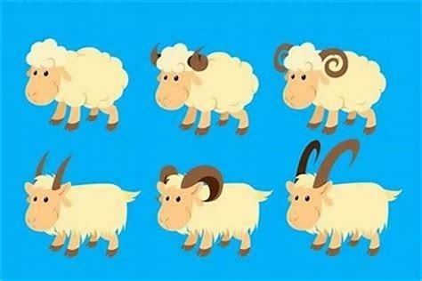 1979年属羊的人今年运势，属羊的人适合去哪个方向发展_生肖_若朴堂文化