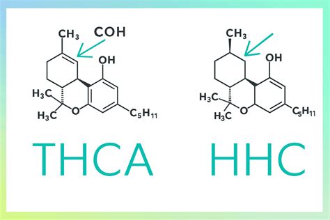 HHC vs THCA: Which Cannabinoid is Better?