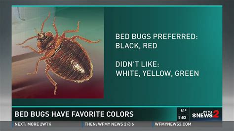The Color Of Your Luggage Attracts Bed Bugs | wfmynews2.com
