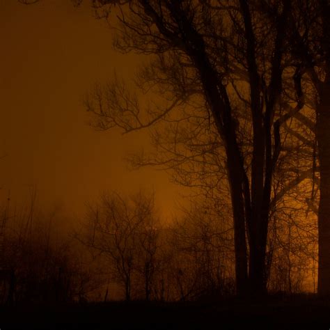 Image result for Sorting Algorithm Sounds