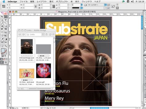 Image result for InDesign CS2