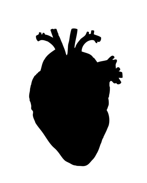 Human Heart Drawing Easy 的图像结果