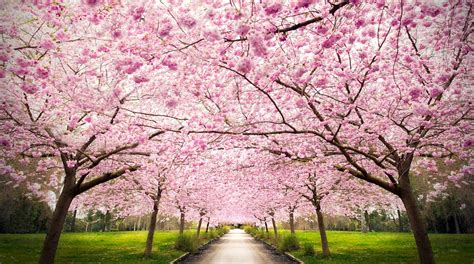 Image result for Valby Farm Thumbnail