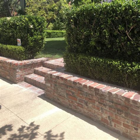 Red Brick Retaining Wall Gosforth, Newcastle, Raj Multi Buff Indian