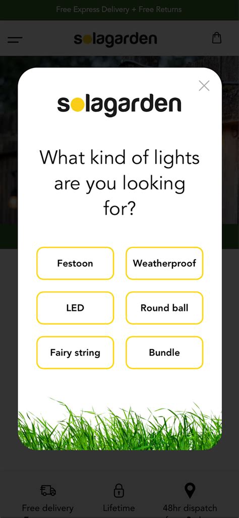 Opt-In Email Campaign 的图像结果