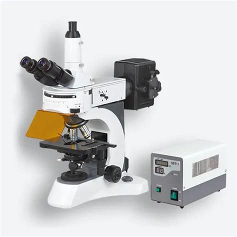 Microscope - Digital Lcd Microscope Manufacturer from Mumbai