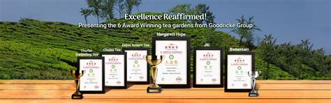 India's Finest Teas - Procured straight from own Tea Gardens