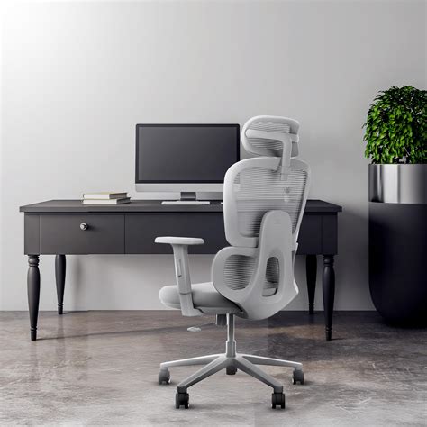 Frido AeroMesh Ergo Chair, Adjustable Armrests & Headrest, Lumbar ...