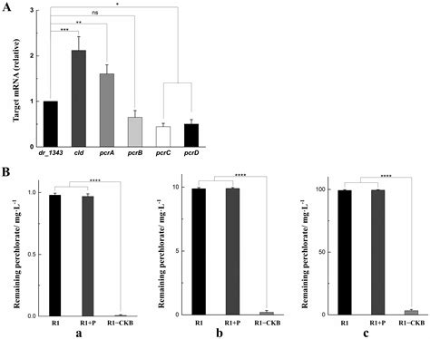 The Construction of an Extreme Radiation-Resistant Perchlorate-Reducing ...