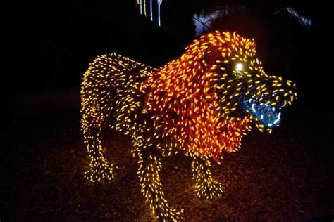 Phoenix In Winter 2026: Top Attractions & Things To Do In 2026!