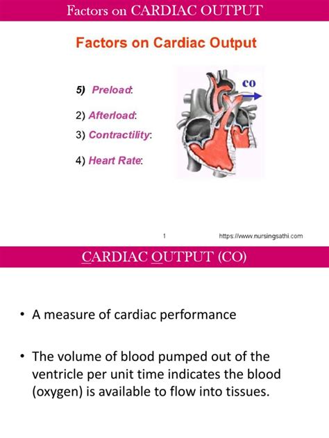 Image result for Cardiac Output Measurement
