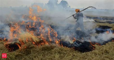 farmers: Farmers burning stubble to face punitive action: UP officials ...