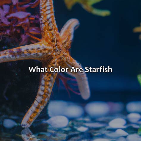 What Color Represents Joy - colorscombo.com