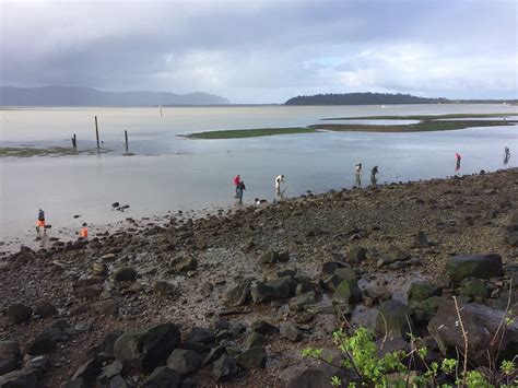 HARBORVIEW INN & RV PARK (Garibaldi) - Motel Reviews, Photos, Rate ...