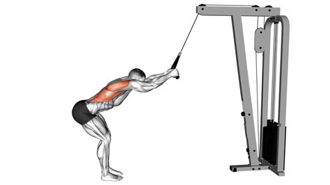 Image result for Contralateral Exercises Cable Machine