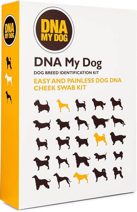 Dna My Dog Genetic Testing Kit – Mixed Breed I | Ubuy India