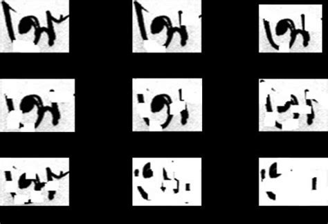 Image result for Extract Data for Testing