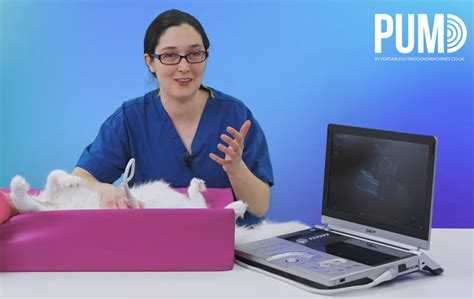 The Best Portable Ultrasound Machines Of 2024 - Portable Ultrasound Machines