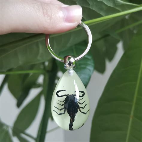 Bug Keychains 的图像结果