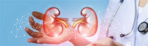 Managing Kidney Disease: Expert Insights and Best Practices - HCG Hospitals