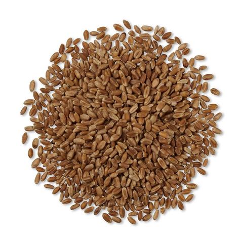 Pro Plan Specialized Weight Management Dry Dog Food | Purina US